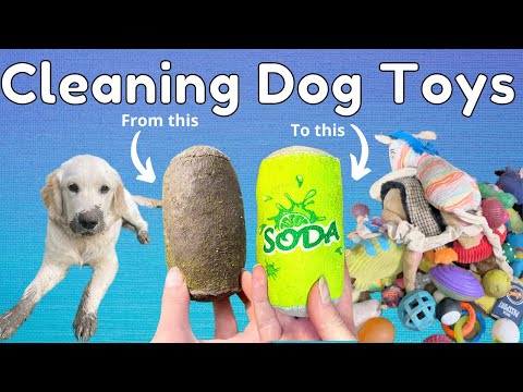 How To Safely Clean Your Dogs Dirty Toys!