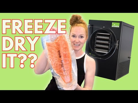 Salmon on Ice: Let's Freeze-Dry This Extra Fish!