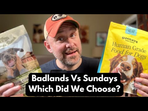 Badlands Ranch Vs. Sundays For Dogs