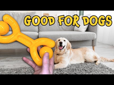 The Ultimate Dog Toy for Aggressive Chewers