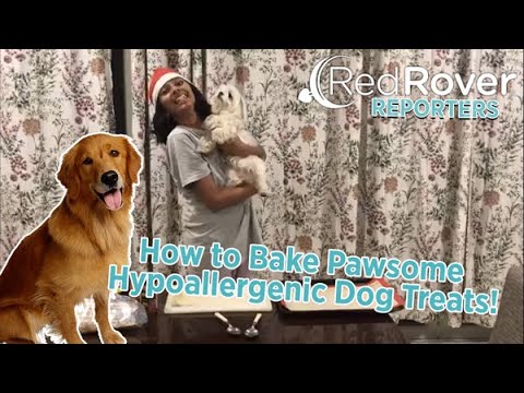 RedRover Reporters: How to Make Pawsome Hypoallergenic Dog Treats!