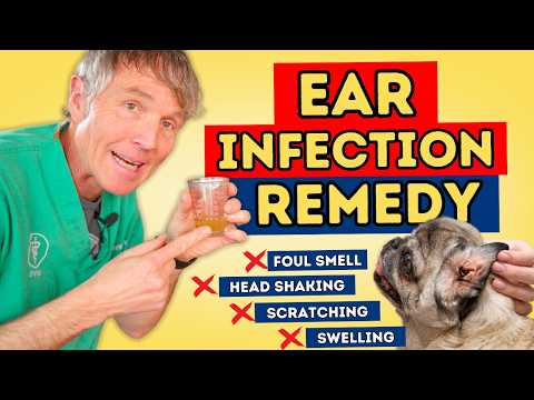 The #1 Cure for Dog Ear Infections—No More Vet Trips!