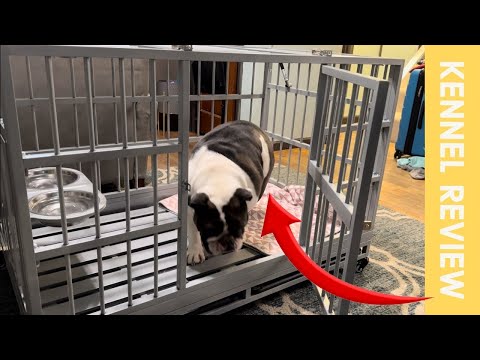 Extra Large Heavy Duty Dog Crate: Secure, Spacious, and Easy to Install