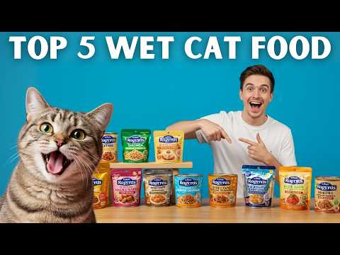 5 BEST Wet Cat Foods 2025 – Vet-Recommended & Cat-Approved!
