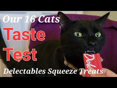 16 Cats Taste Test- Delectables Squeeze Treats