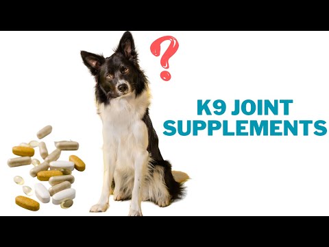 Joint Supplements for Dogs