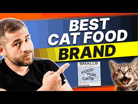 The best cat food brand: Smalls Cat Food Review 2025