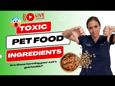 Toxic Pet Food Ingredients - Are these harming your pet’s gut health?