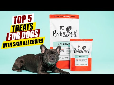 Best Dog Treats for Itchy Skin: Allergy-Friendly Options