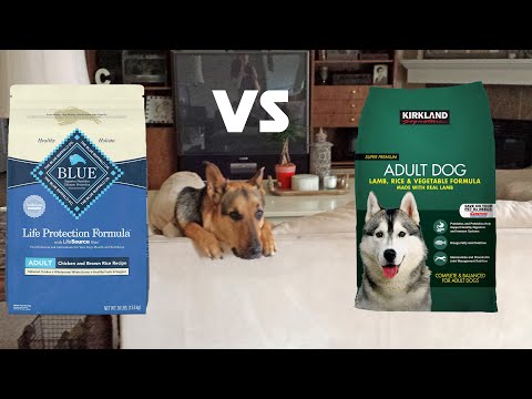 The Best Dog Food That I Have Found For My German Shepherd.