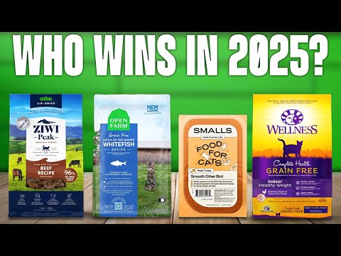 TOP 5 Best Cat Foods 2025