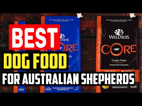 Top 5 Best Dog Food for Australian Shepherds Review in 2022