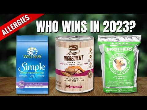 Best Dog Food For Allergies (Top 7 Hypoallergenic Dog Food!)