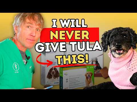 WARNING: 5 Flea & Tick Products with Alarming Side Effects (Better Natural Alternatives Included!)