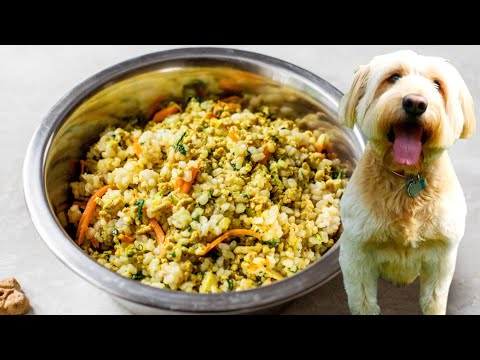 HOMEMADE DOG FOOD | healthy dog food recipe