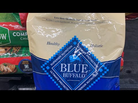 Blue Buffalo Dry Dog Food- Review