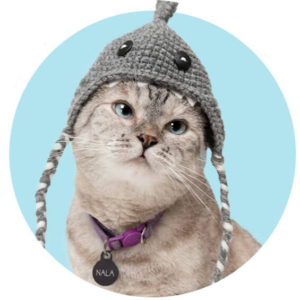 Cat Accessories